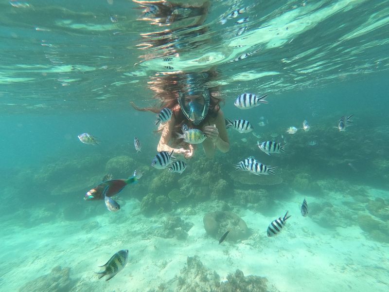 Nurkowanie na Filipinach