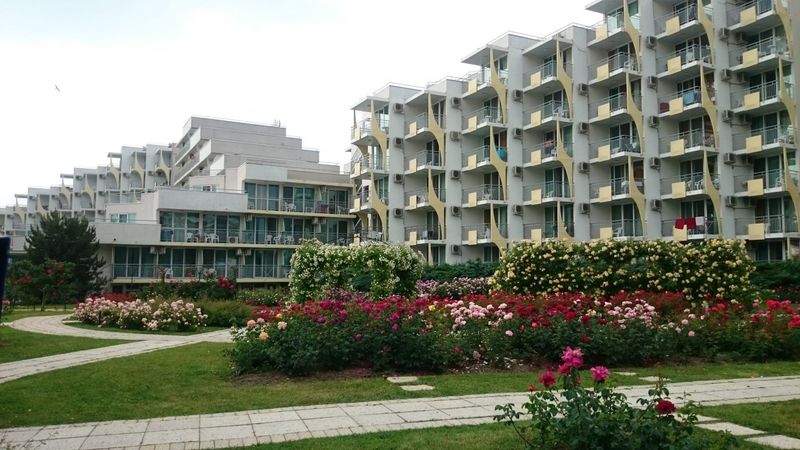 Rozarium przy jednym z hoteli w Albenie