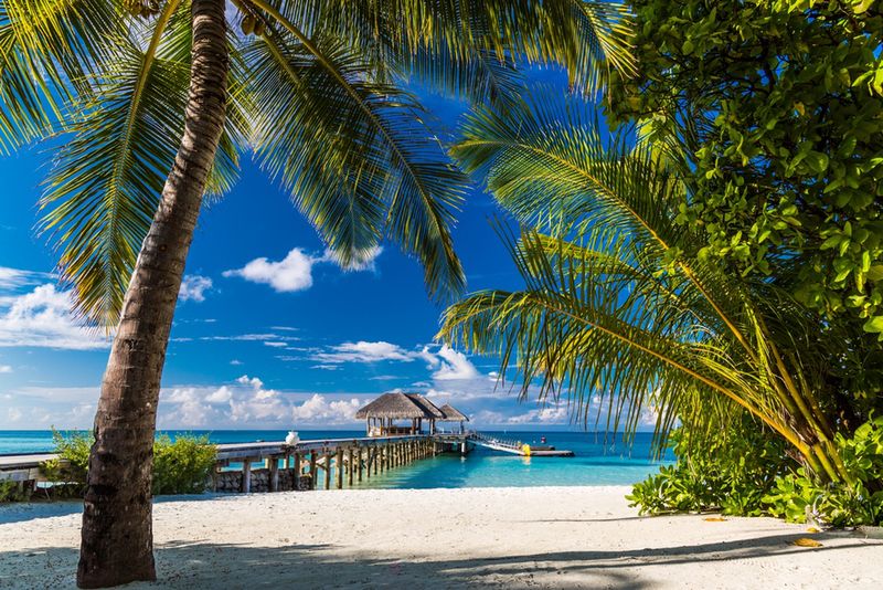 Najpiękniejsze plaże na Sri Lance