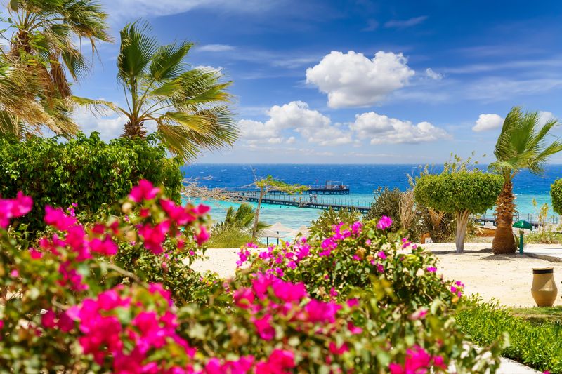 Widok na plażę i molo w Marsa Alam
