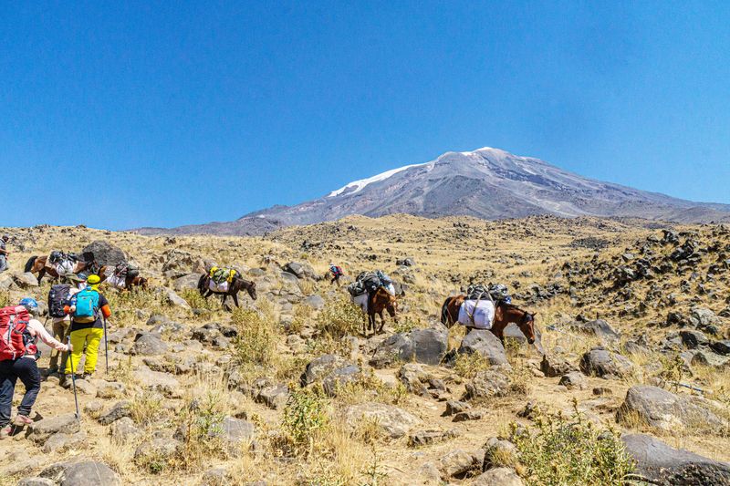 Góra Ararat