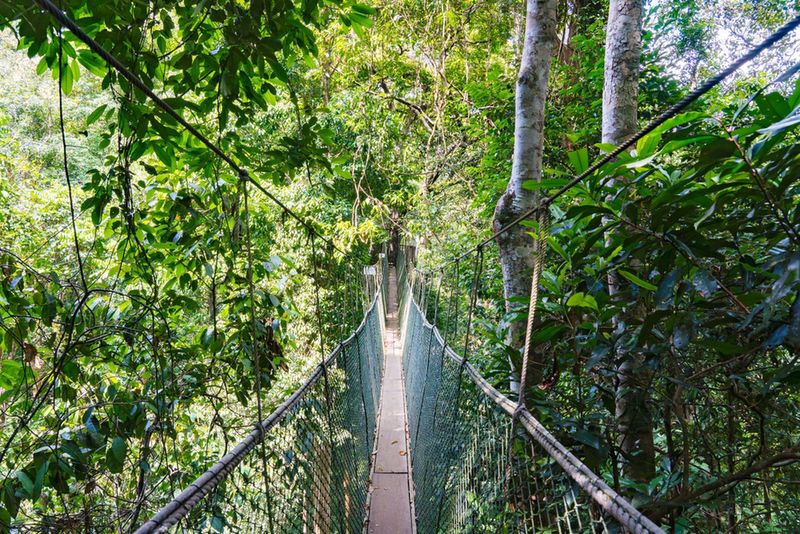 Taman Negara National Park