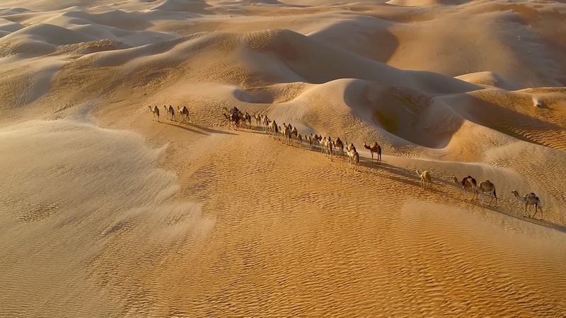 Pustynna karawana