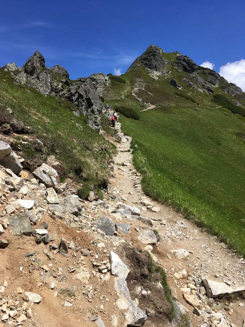 Droga przez Suche Czuby