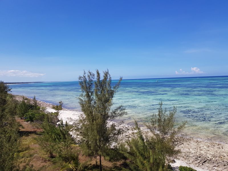 Ocean Indyjski na Zanzibarze