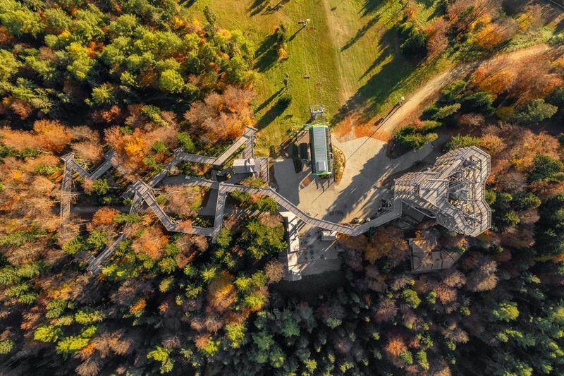 Najwyższe wieże i ścieżki w koronach drzew