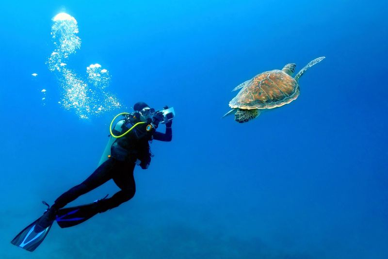Nurkowanie na Zanzibarze