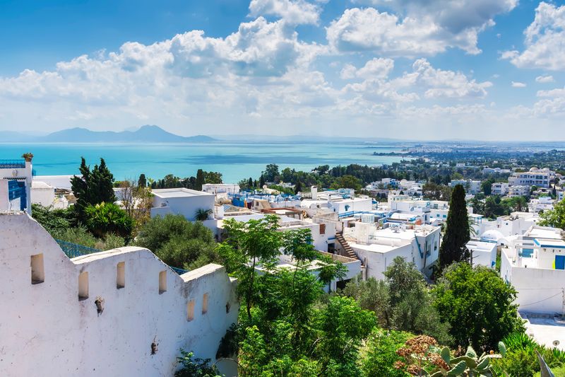 Białe domki w Sidi Bou Said