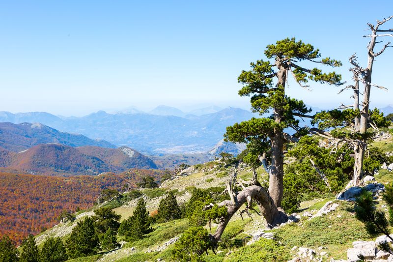 Park Narodowy Pollino
