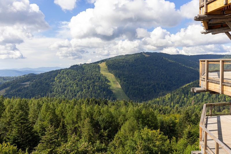 Widok z wieży w Krynicy