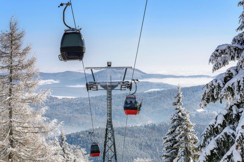 Gondola,Cabin,Lift,In,The,Ski,Resort,Over,The,Forest
snowboarding,poland,panoramic,scenic,trees,gondola,ski,high,mountain,season,resort,slovakia,cable,sky,cable car,recreation,active,winter sport,adventure,panorama,snow,alpine,lift,valley,ski lift,cableway,snowboard,forest,mountains,cabin,tourism,winter,cold,holiday,sun,tourist,car,vacation,europe,italy,snowy,nature,skiers,transport,outdoor,blue,travel,sport,fun,landscape