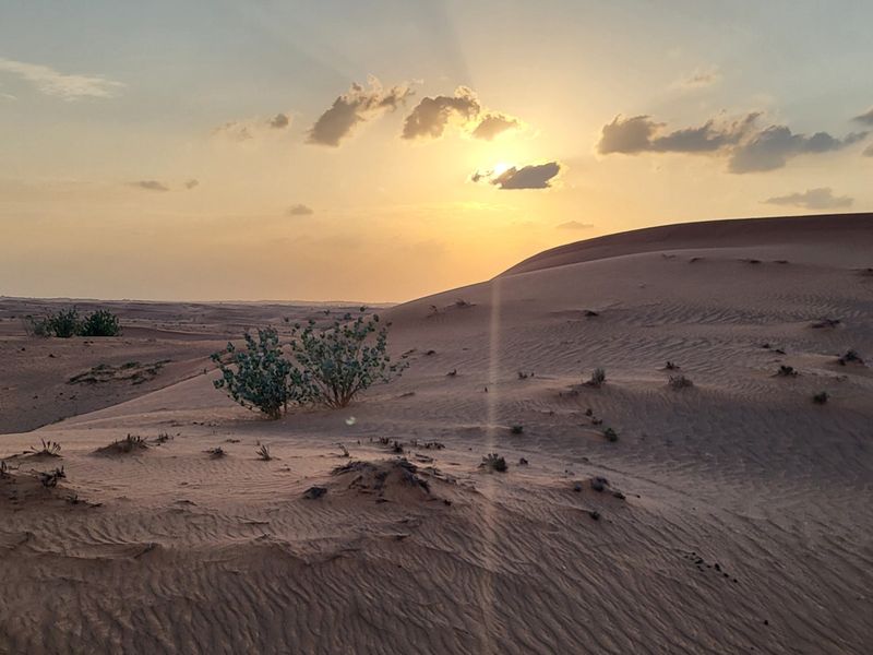 Zachód słońca na pustyni