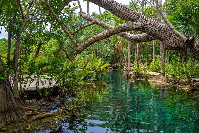 Cenote Zacil Ha