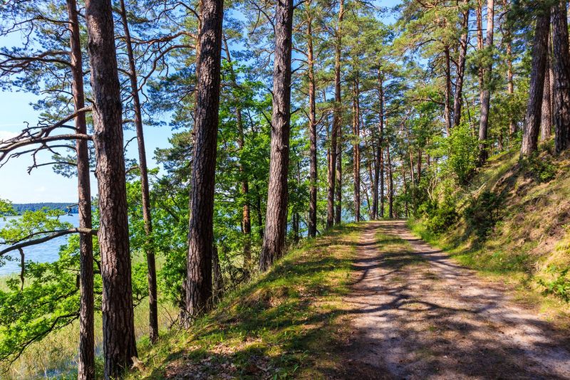 Trasy rowerowe na Mazurach