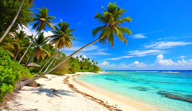 Plaża na Malediwach