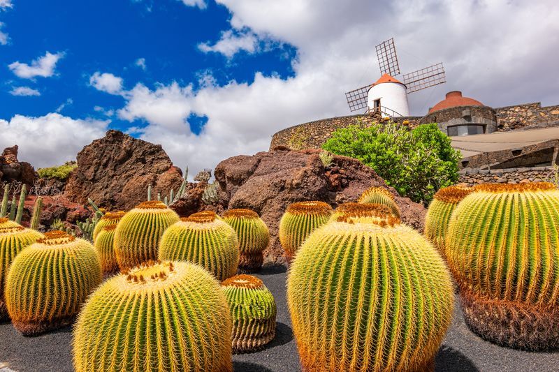 Krajobrazy na Lanzarote