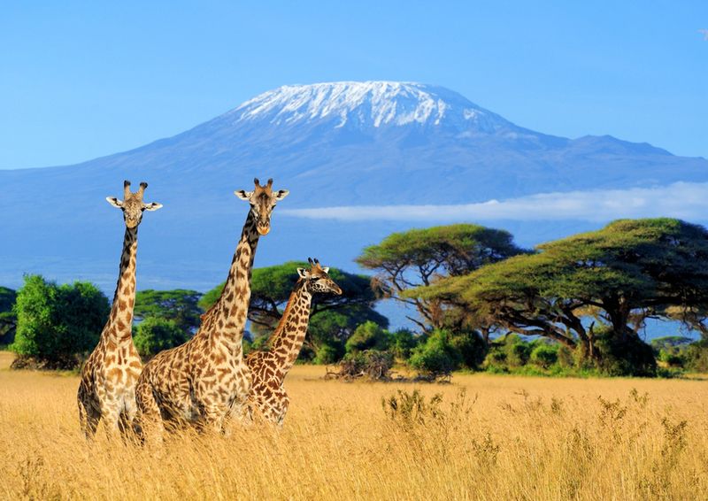 Jakie są zasady wjazdu do Kenii?
