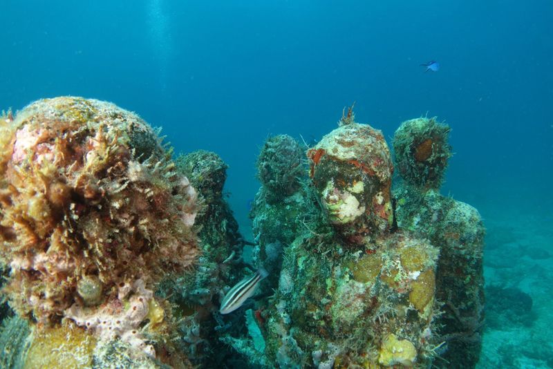 Nurkowanie na Isla Mujeres