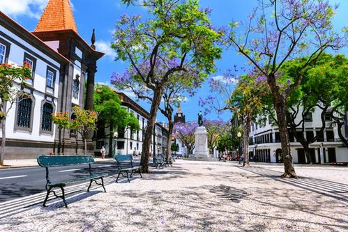 Główna ulica Funchal – stolicy Madery