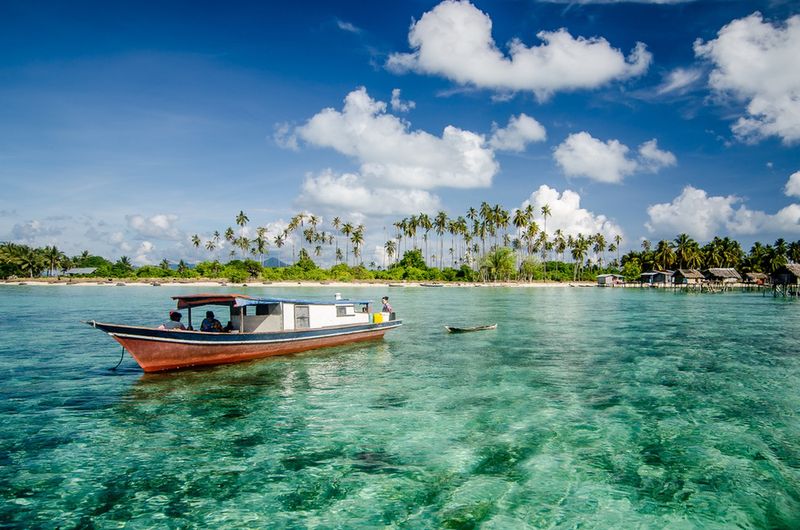 Zachwycający widok na plażę z palmami i łódkę
