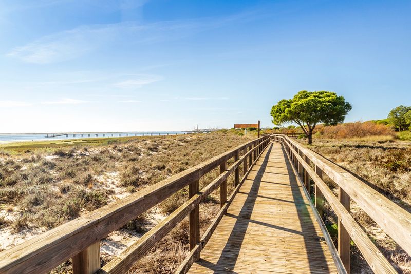 Park Ria Formosa i drewniany pomost dla zwiedzających