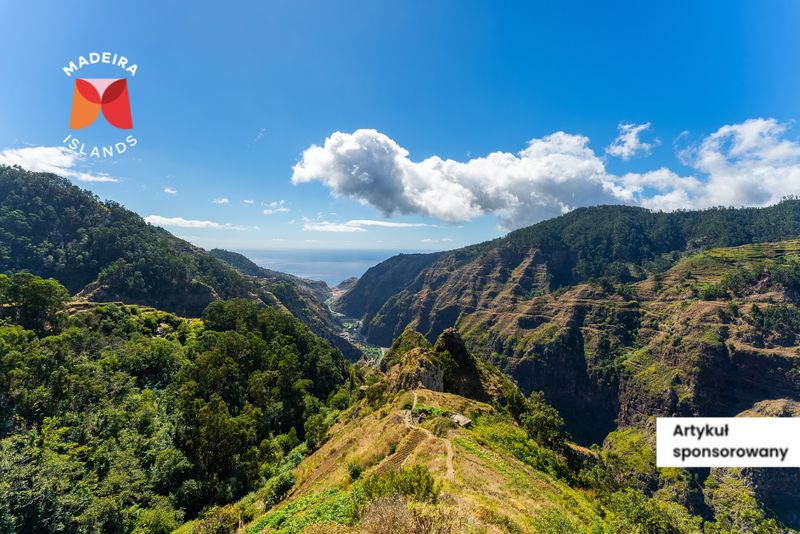 Panorama Madery