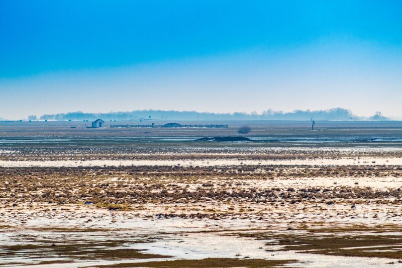 Tereny Parku Narodowego Puszta Hortobágy