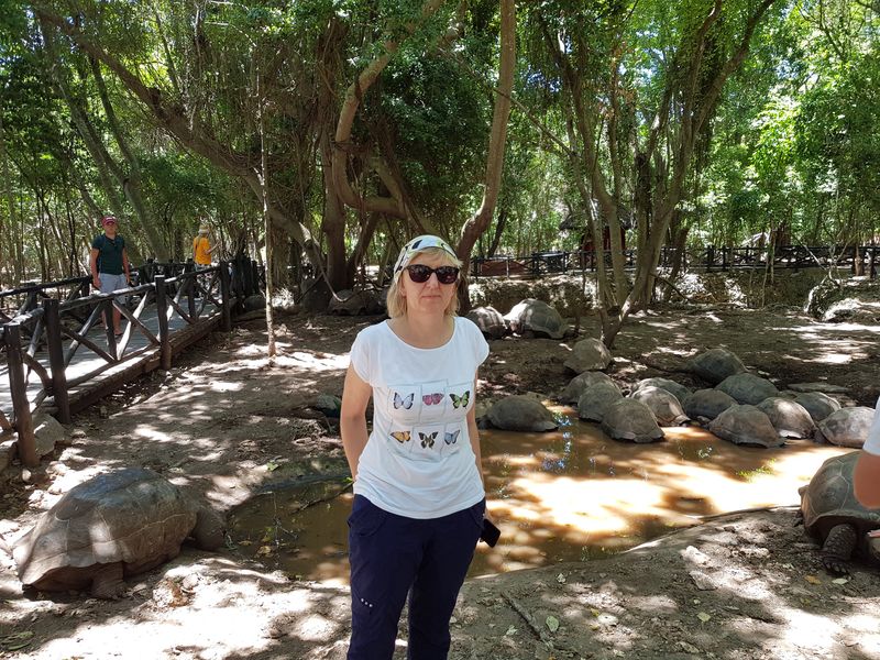 Sanktuarium żółwi na Zanzibarze