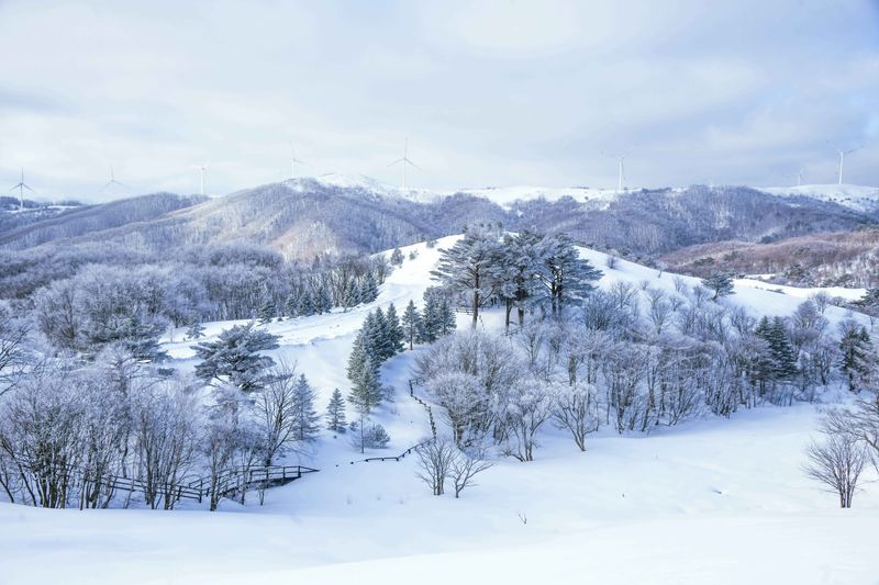 Korea Południowa zimą