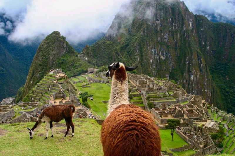 Machu Picchu