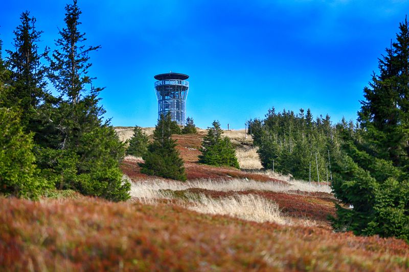Wieża widokowa na Śnieżniku