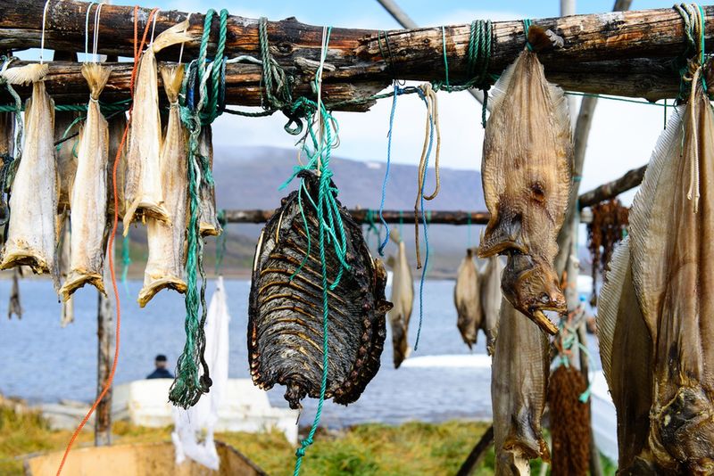 Susząca się ryba na wolnym powietrzu