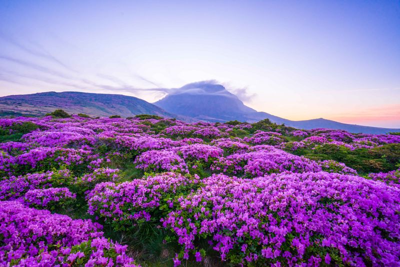 Hallsan na wyspie Jeju