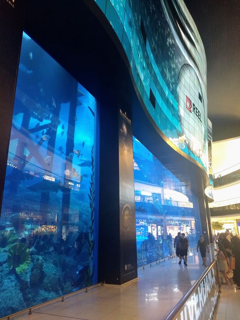 Dubajskie Akwarium i Podwodne ZOO