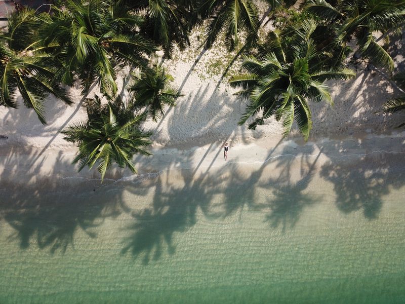 Pangkor i piękna plaża z palmami z lotu ptaka 