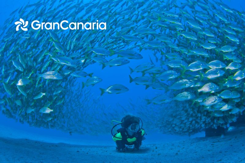 Czyste wody oceanu Atlantyckiego na Gran Canarii do nurkowania 