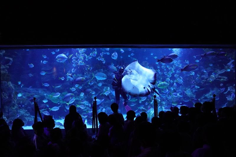 Akwarium w Kuala Lumpur