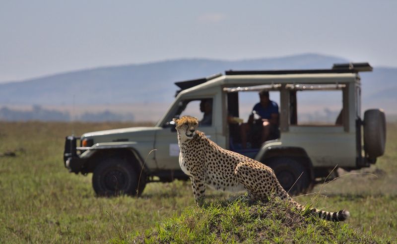 Masai Mara