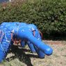Oto najśmieszniejszy robot zbudowany przez DARPA