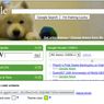 iGoogle pozwala na tworzenie własnego tematu graficznego