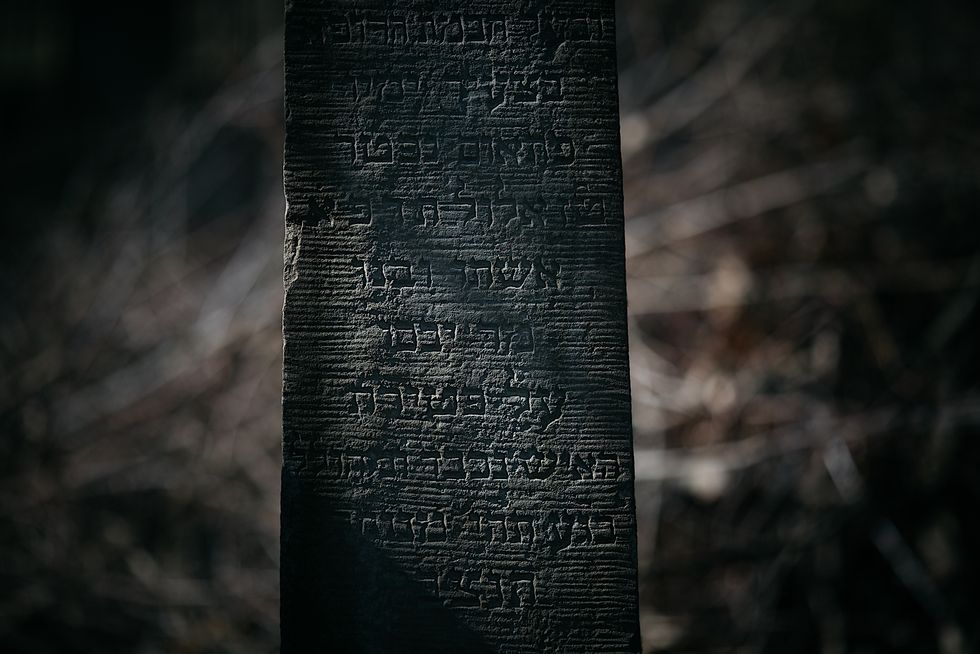 KRZYSZTOF. Krzysiek, 43 lata, Piwniczna-Zdrj. 19 gru 15:52. 03 maj 13:34. Bez zobowiazan. Szukam kobiety do spotka. Sylwester, 32 lata, Piwniczna-Zdrj. Pan pozna pani Randki Piwniczna-Zdrj szukam ony