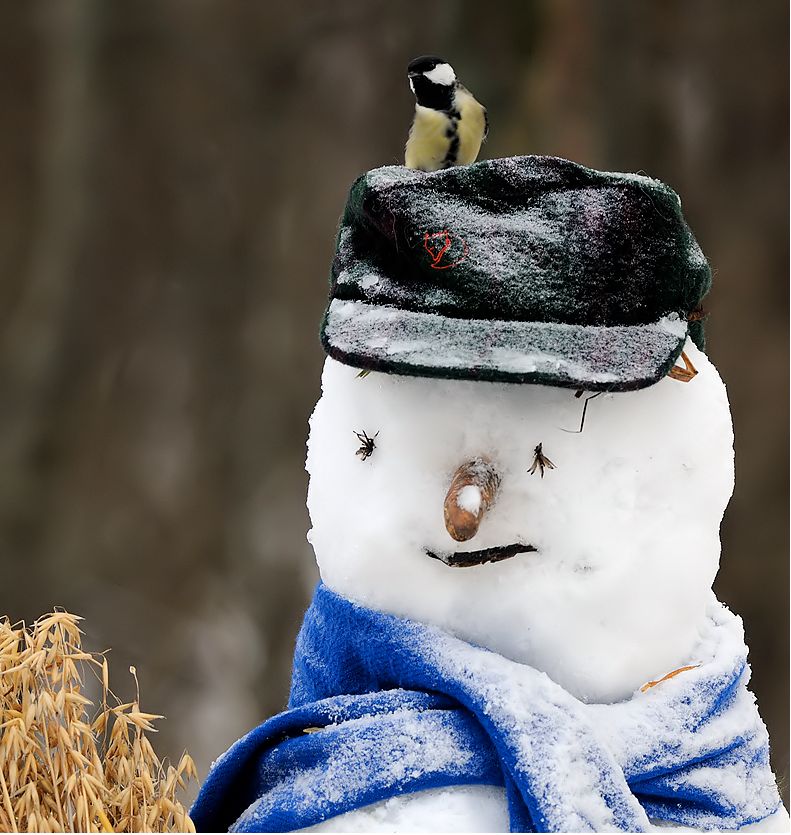 Hyvää Joulua
