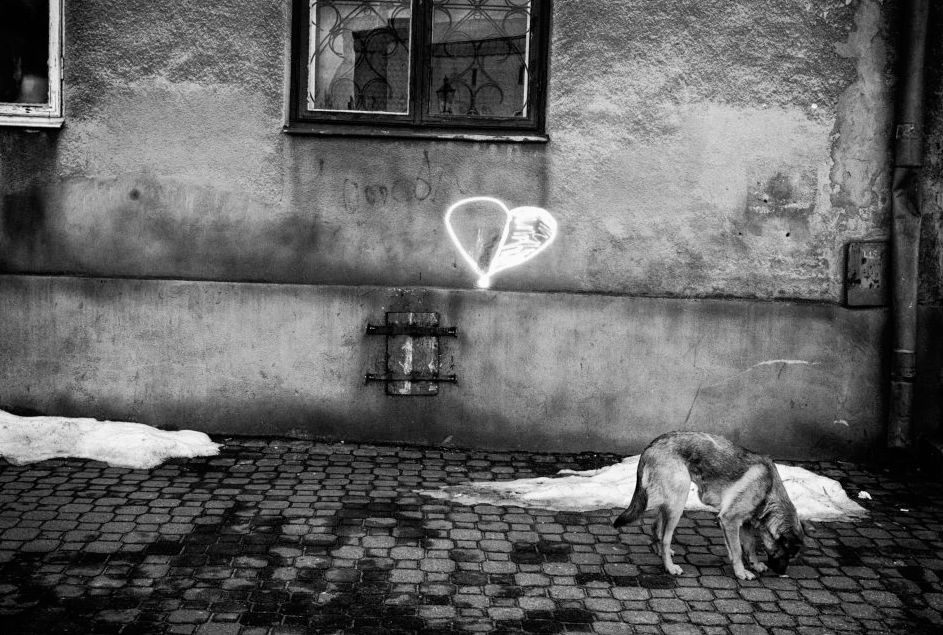 2 IX Wielki Konkurs Fotograficzny National Geographic. Grand Prix 9. edycji WKF. i 1. miejsce w kategorii Fotoreportaż - "Mijając cienie" © Arkadiusz Kubisiak