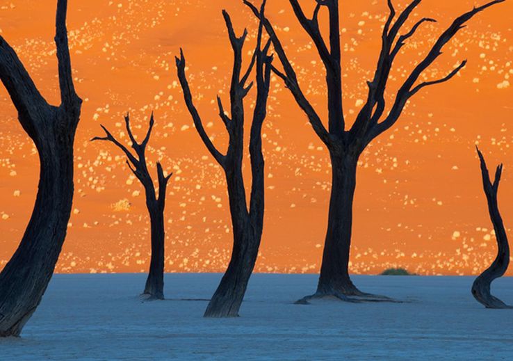 1 Trudno uwierzyć na pierwszy rzut oka, że to zdjęcie, a nie obraz. To wschód słońca w Namibii, sfotografowany przez Fransa Lantinga.