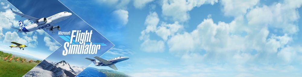 baner Microsoft Flight Simulator