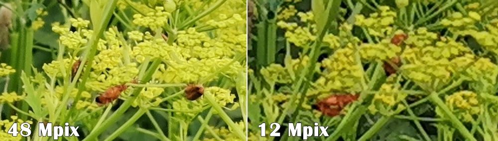 Honor 20 możliwości 48 Mpix