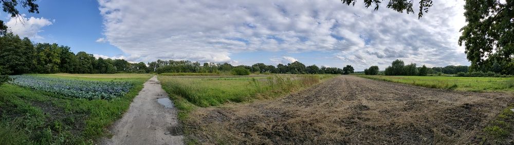 OPPO panorama
