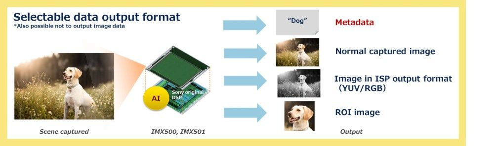 Sony sensor z AI - wybór danych