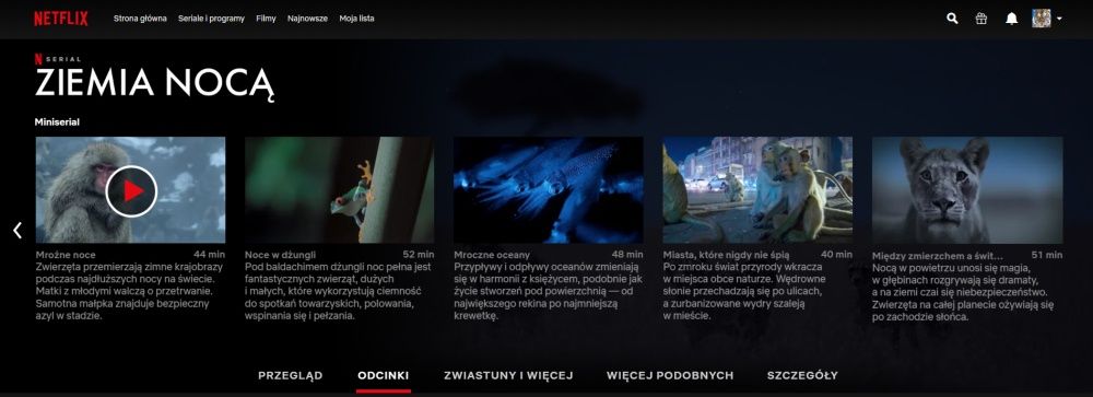 Netflix Ziemia Nocą