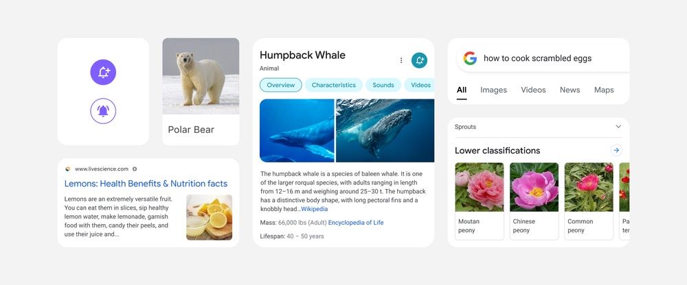 Zmieniony wygląd Google